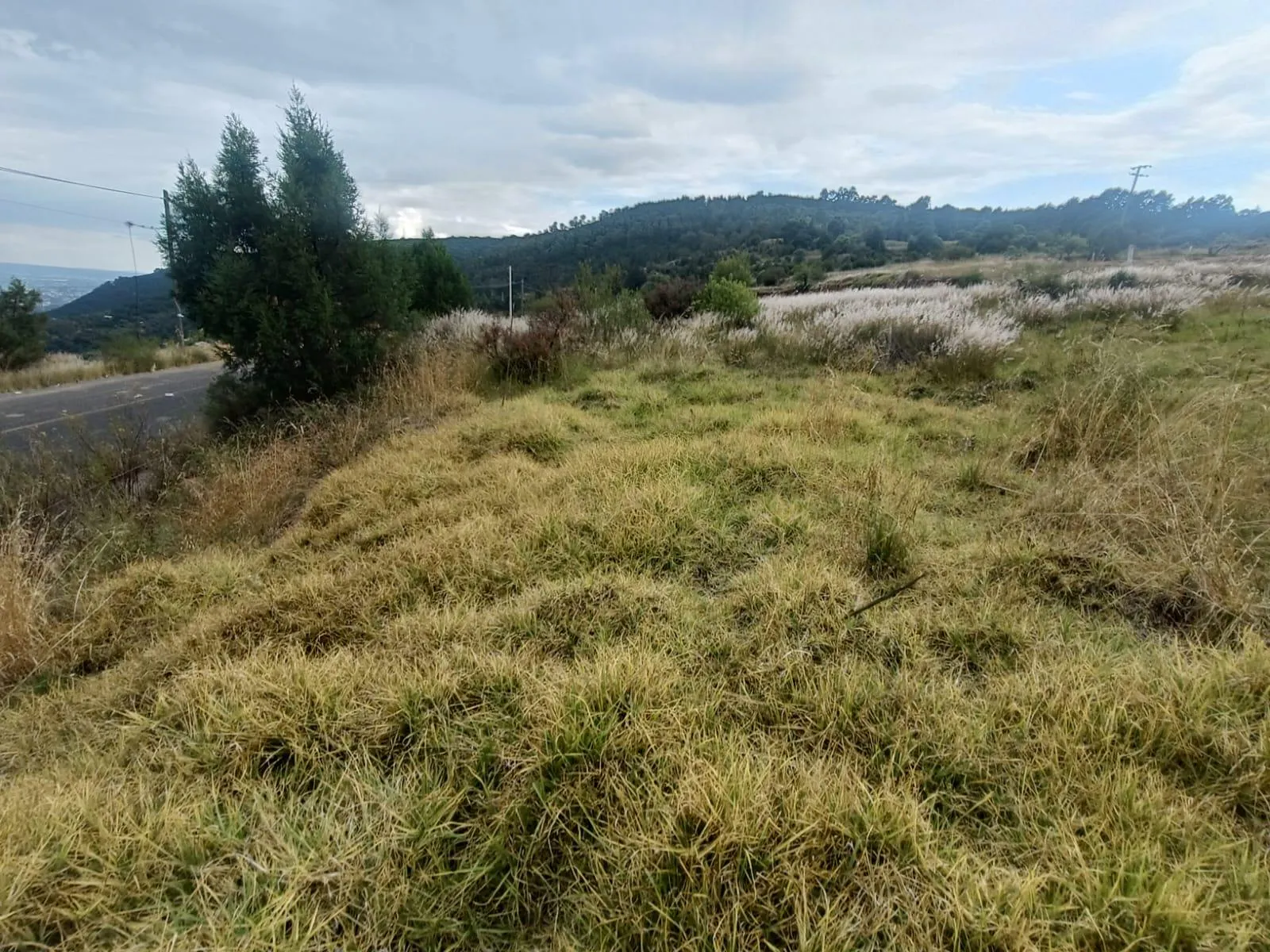 Terreno Spot2
