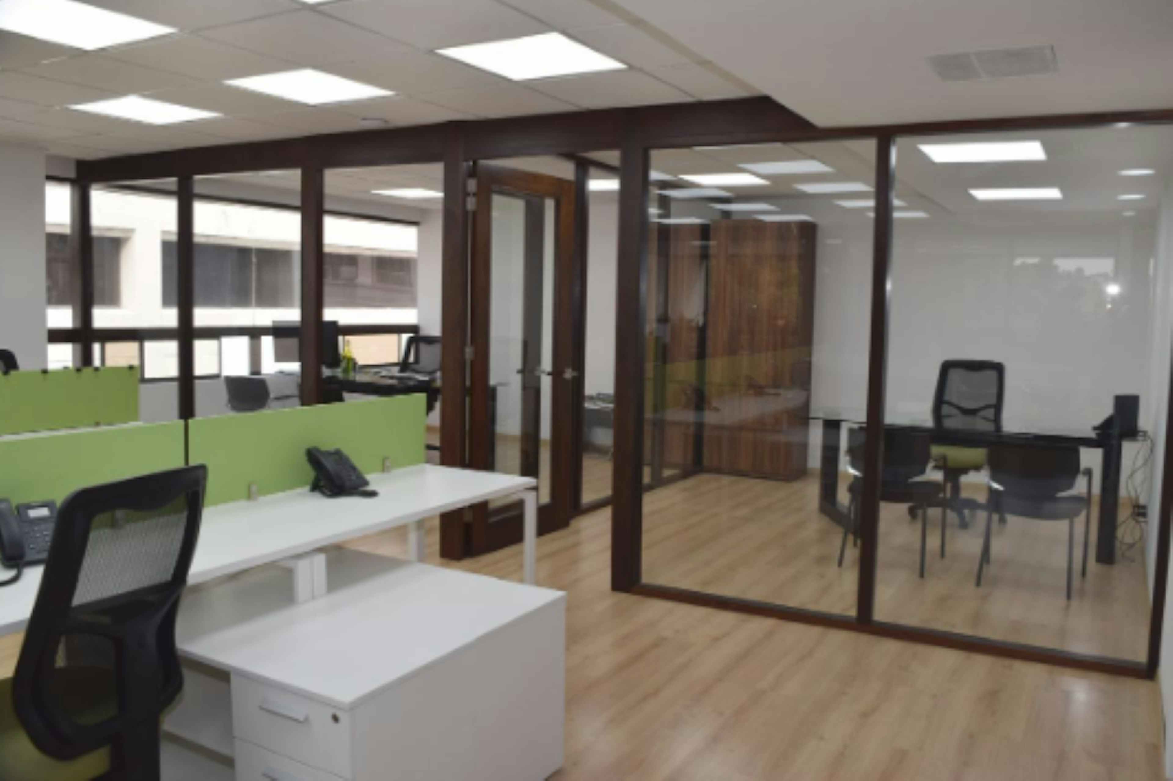 Bosque De Ciruelos 140