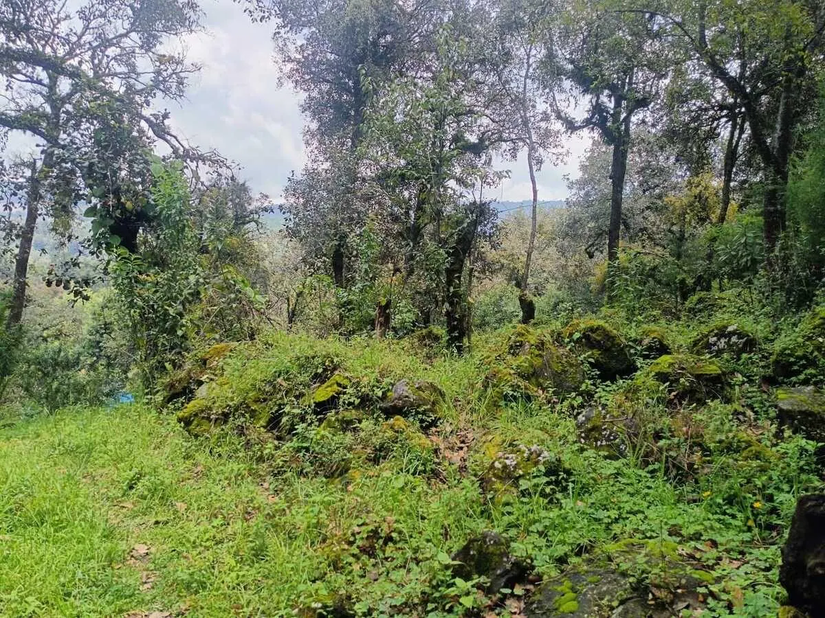 Terreno Spot2