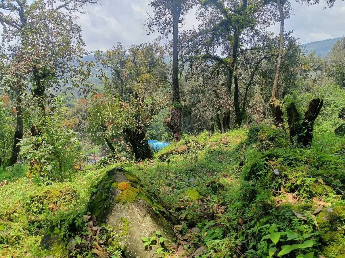 Terreno Spot2