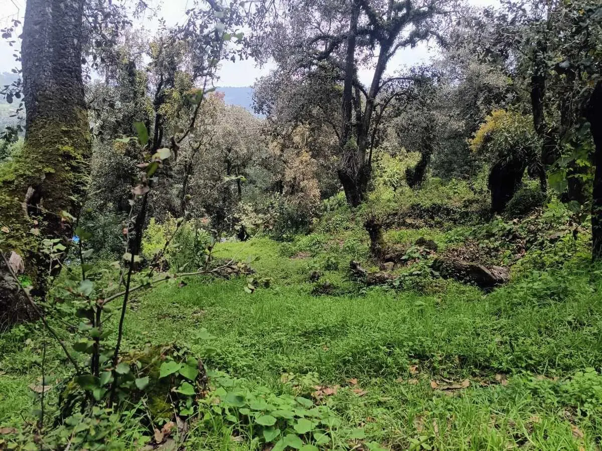 Terreno Spot2