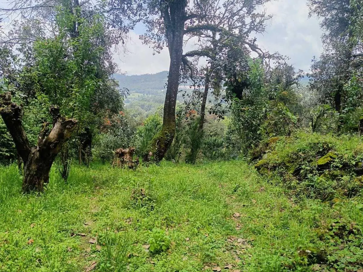 Terreno Spot2