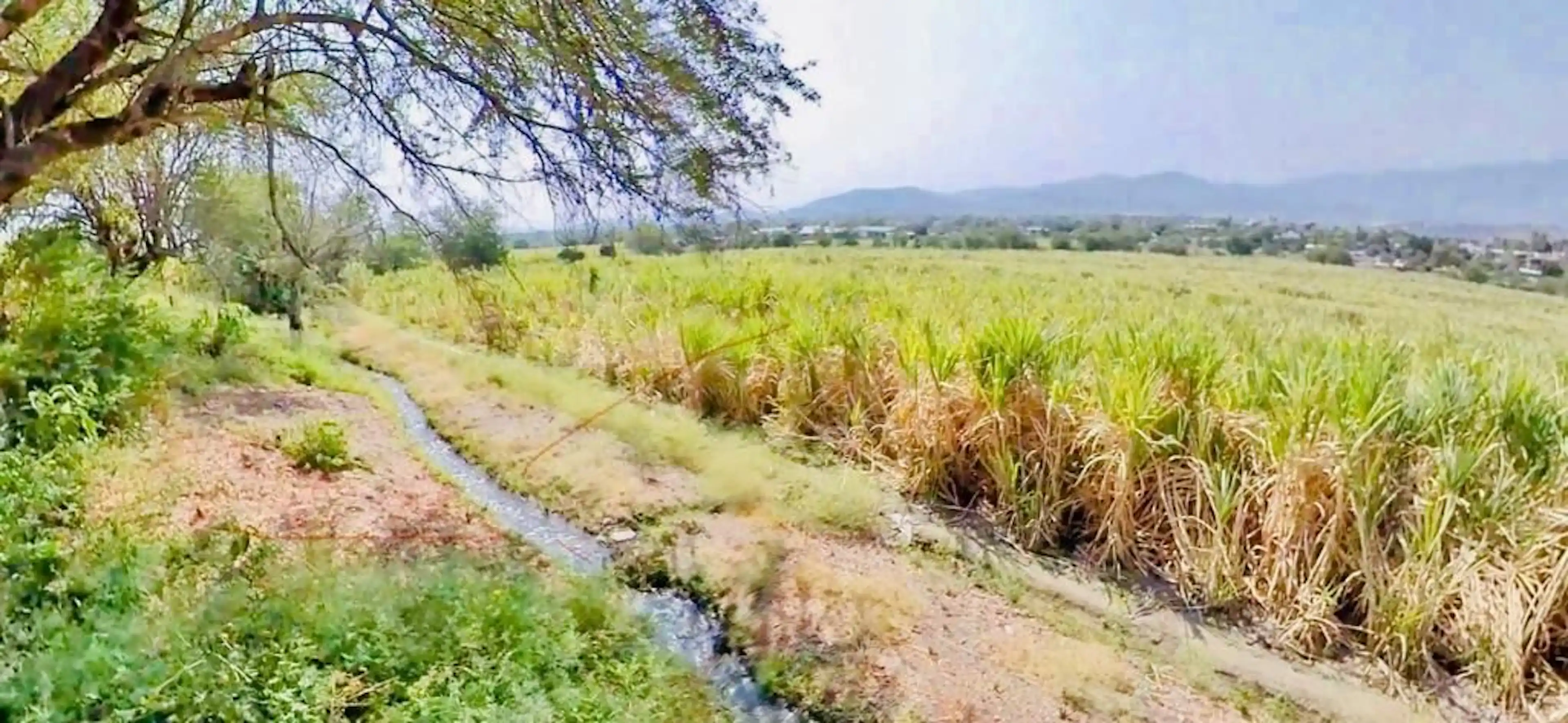 Terreno En Jojutla Morelos