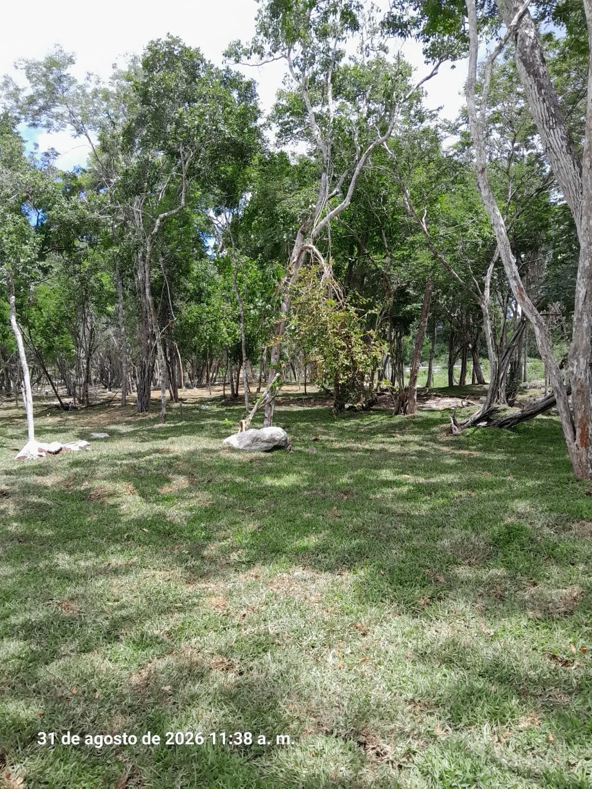 Terreno Spot2