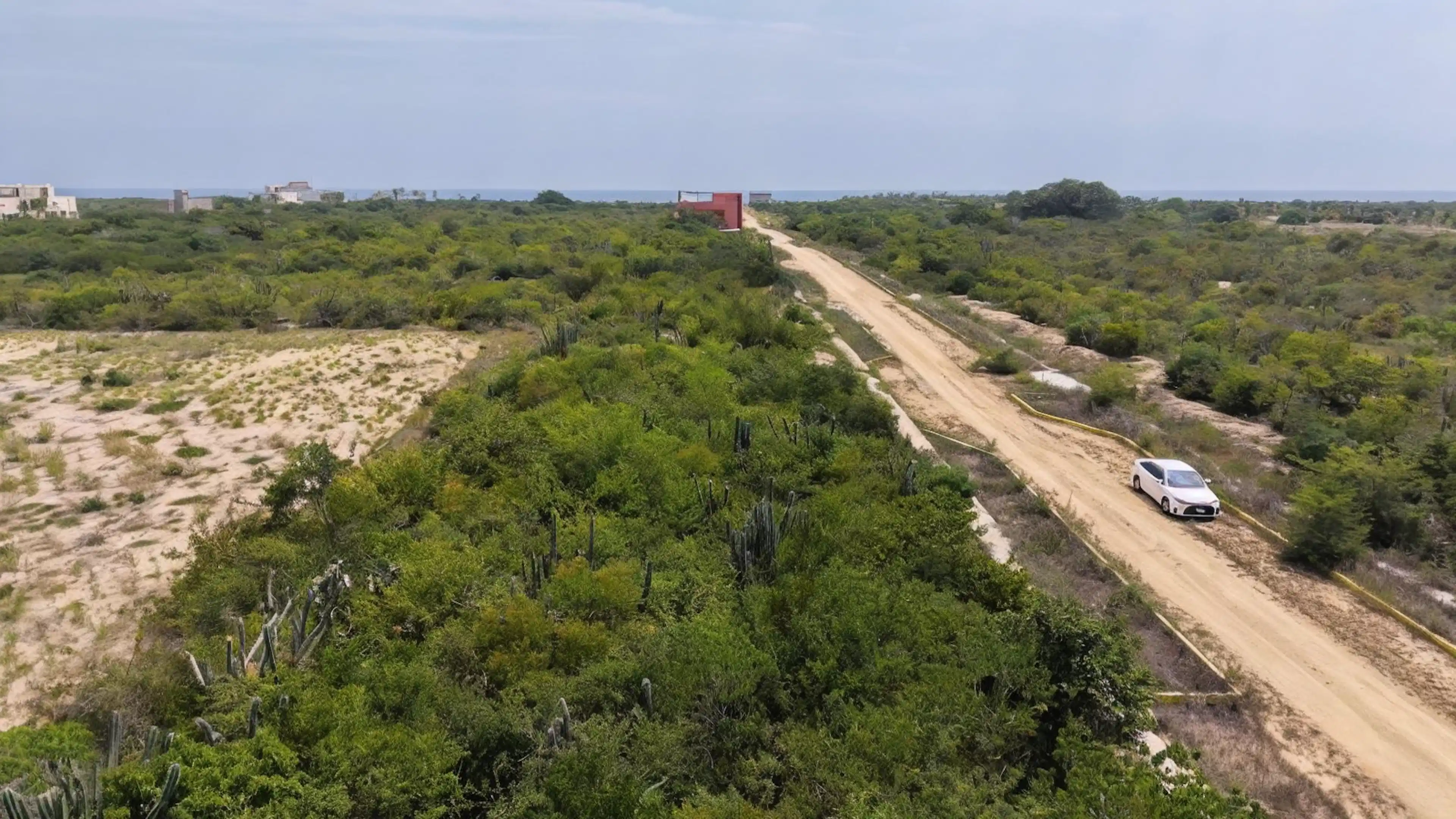 Lotes Bioterra en Venta – Playa Palmarito, Oaxaca | Acceso Directo al Mar