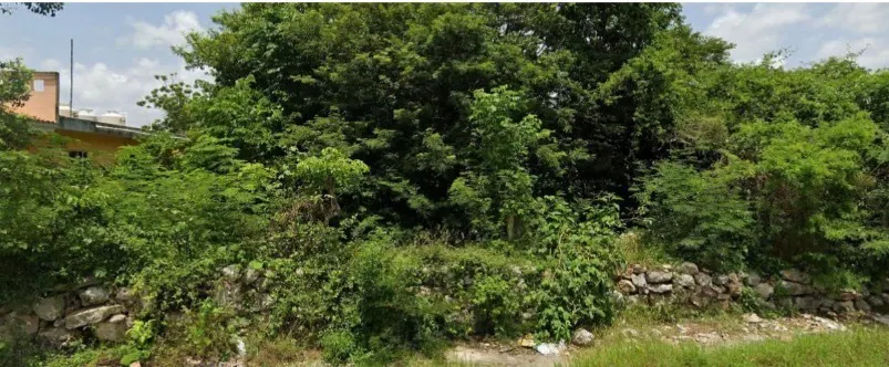 Terreno Spot2