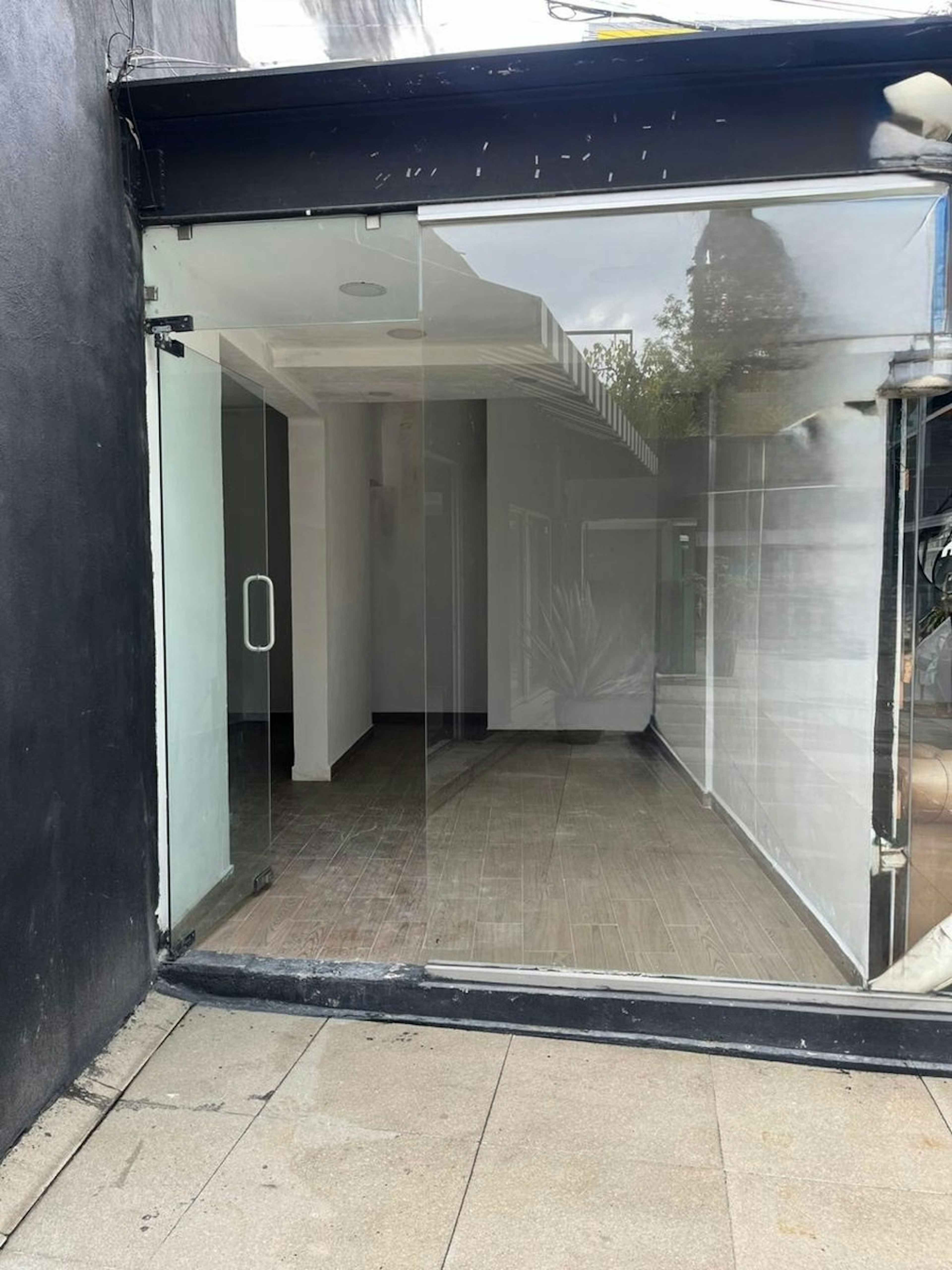 Avenida Paseo De Las Palmas