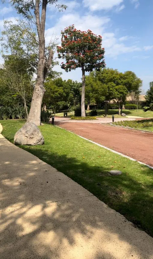 Terreno Spot2