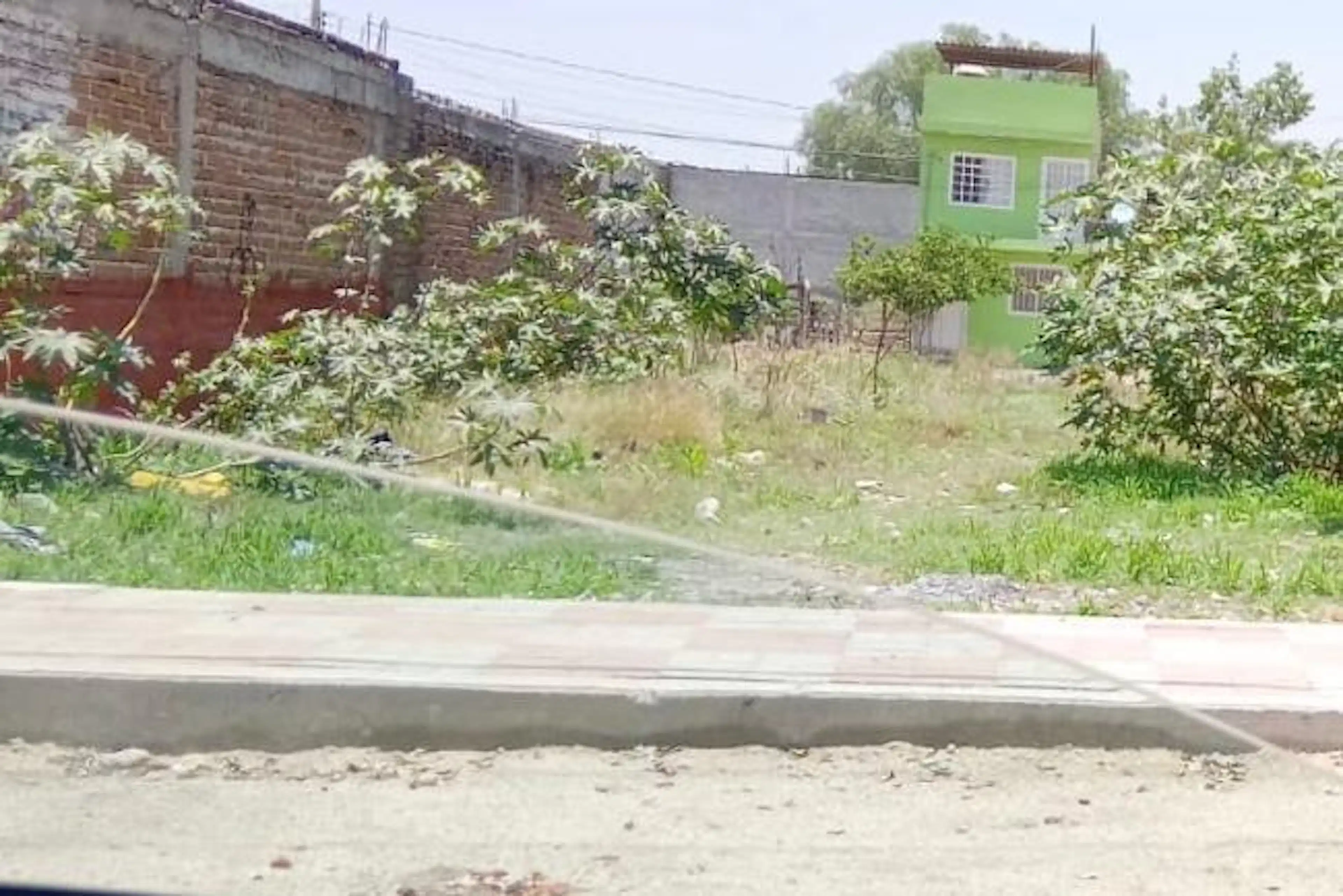 Terreno En  Venta Col. Los Pinos Leon, Gto