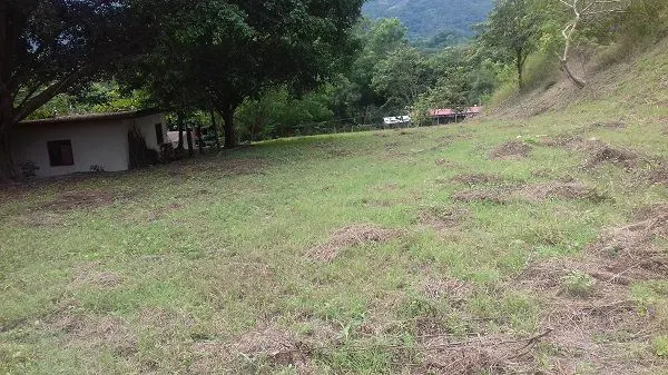 Terreno Spot2