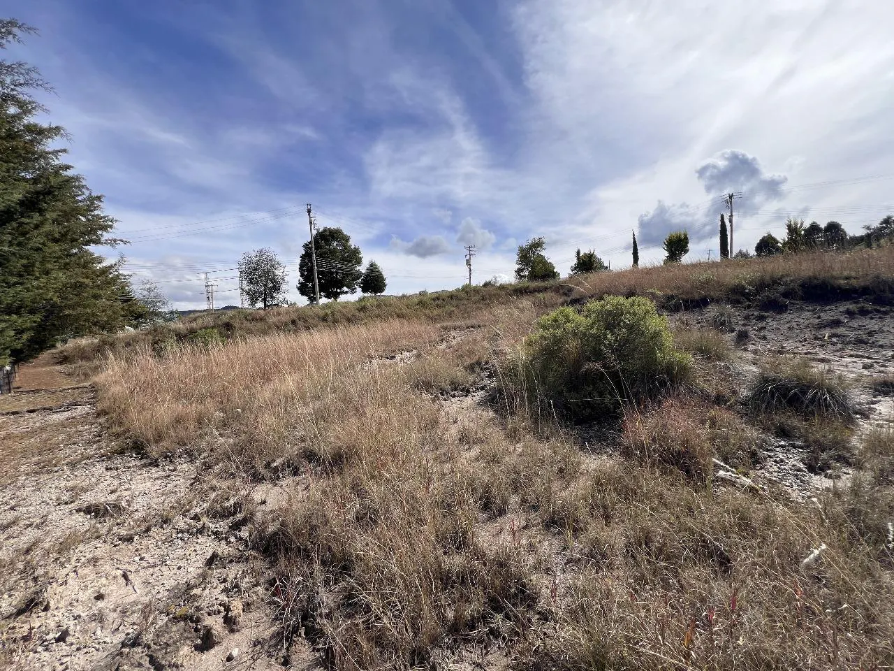 Terreno Spot2