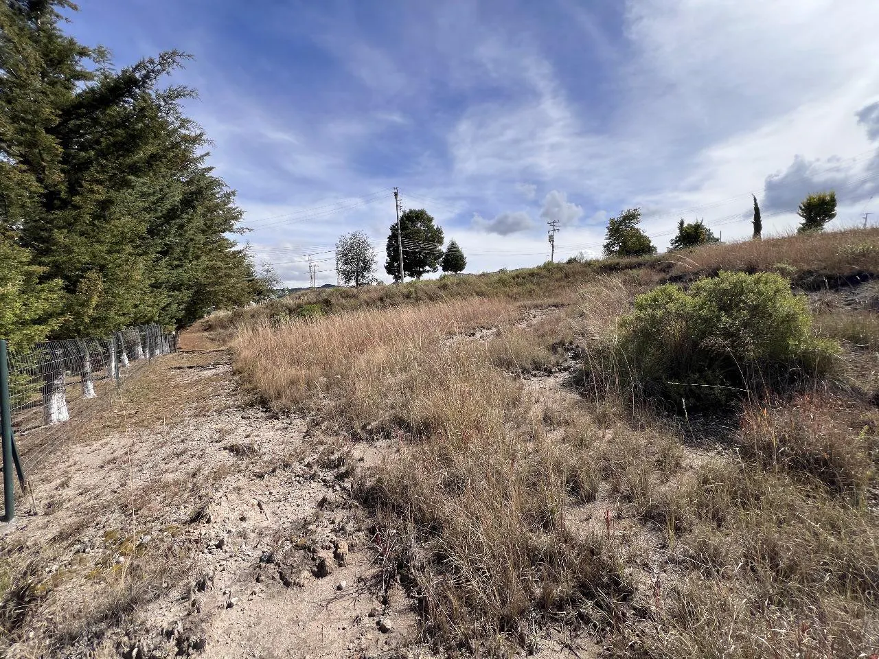 Terreno Spot2