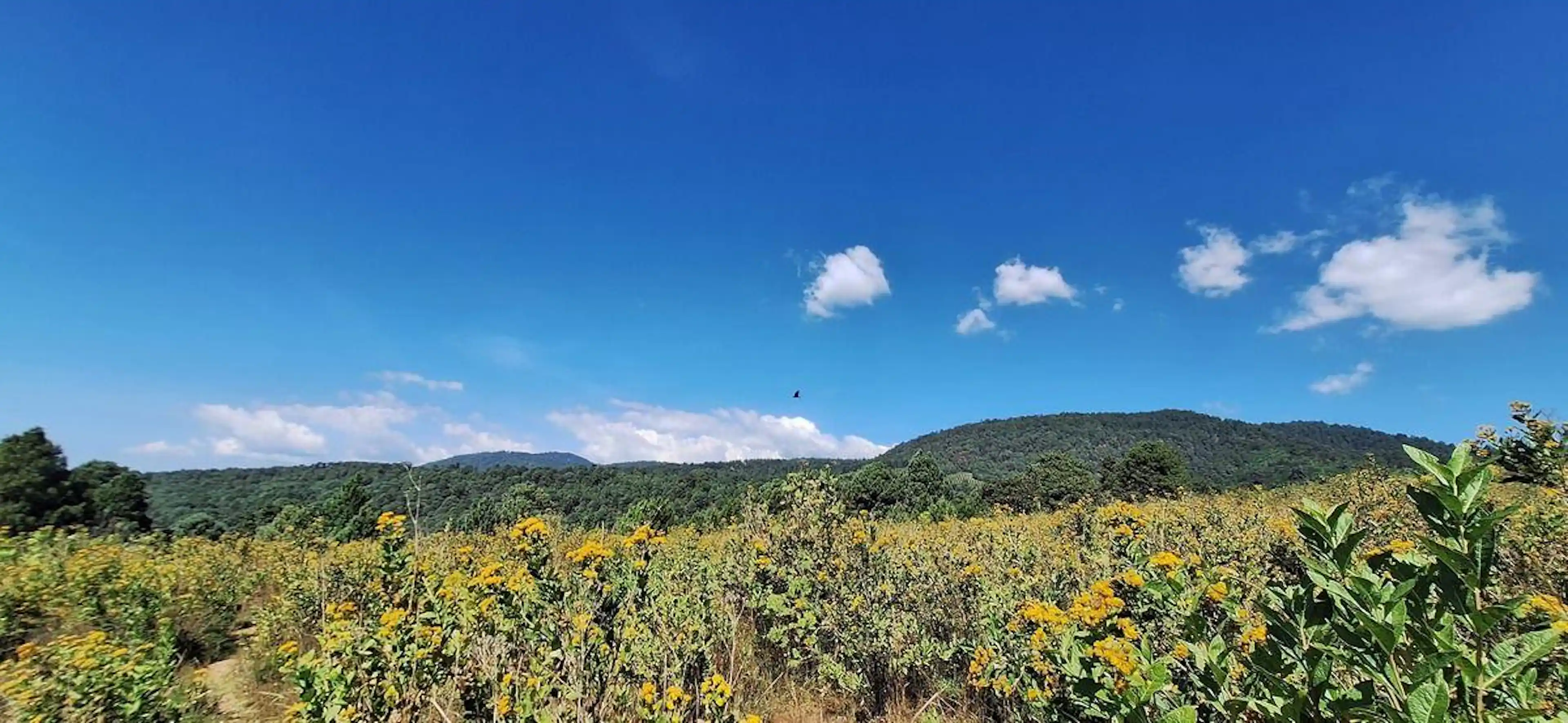 Terreno con Vista al Lago en San Francisco Mihualtepec