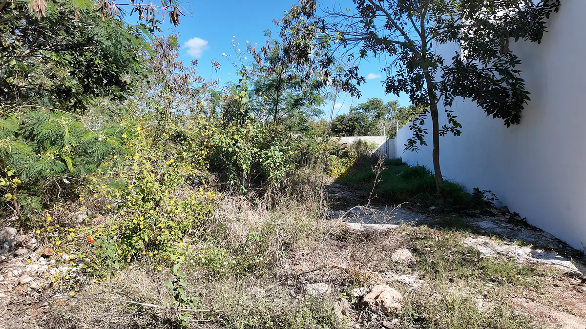 Terreno Spot2