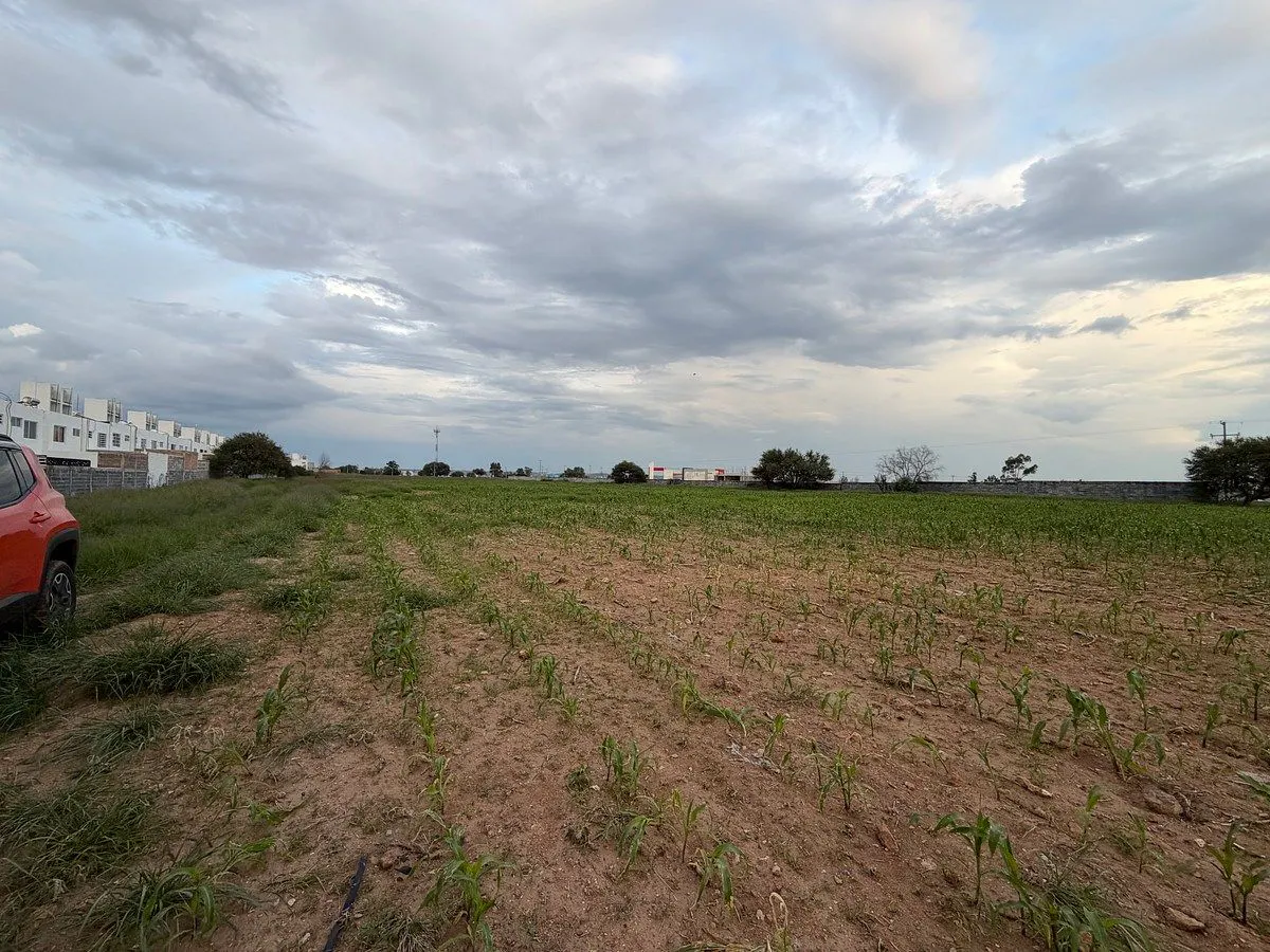 Terreno Spot2