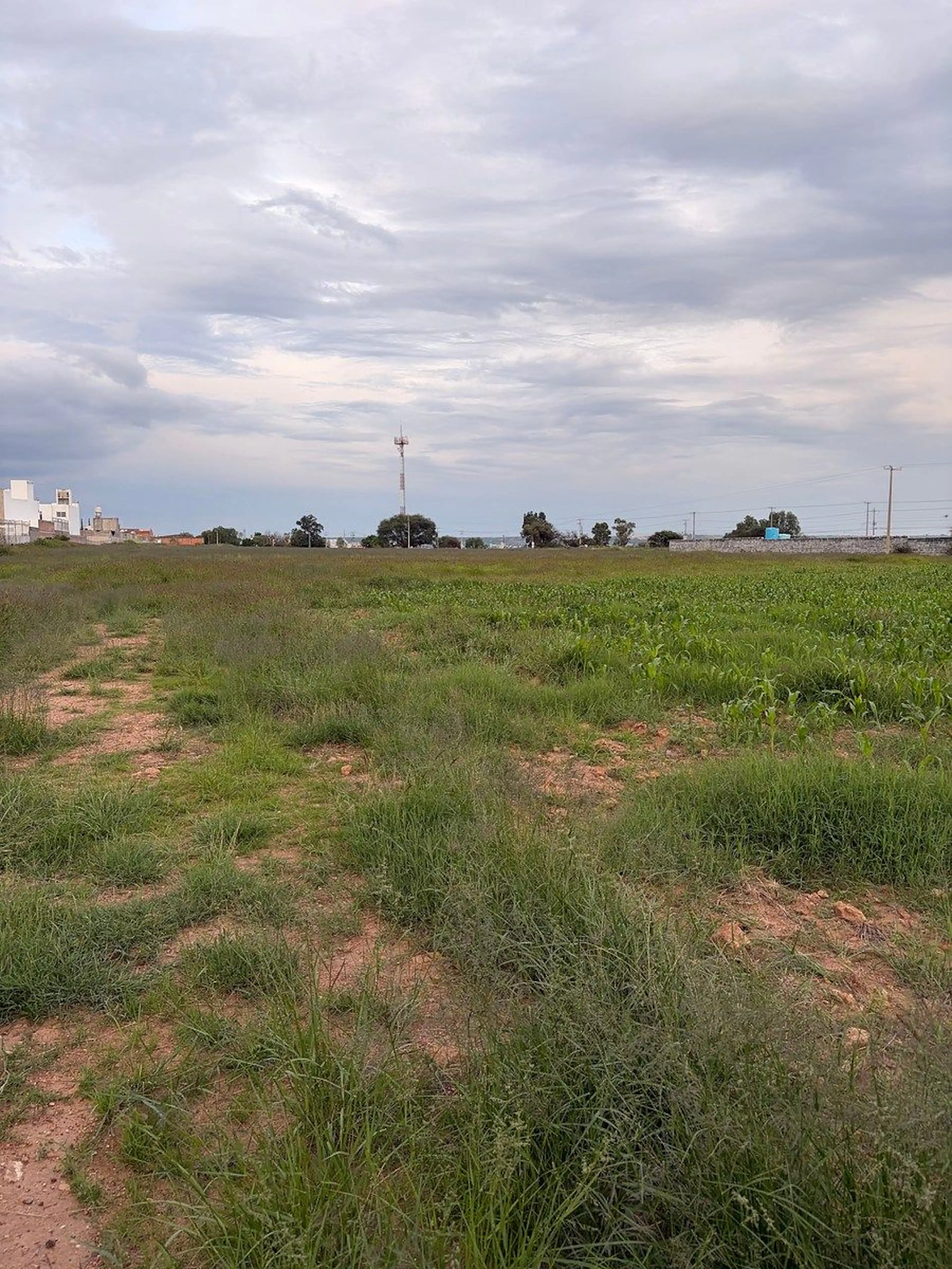Terreno En Venta (san Antonio De Los Horcones) Jesus Maria