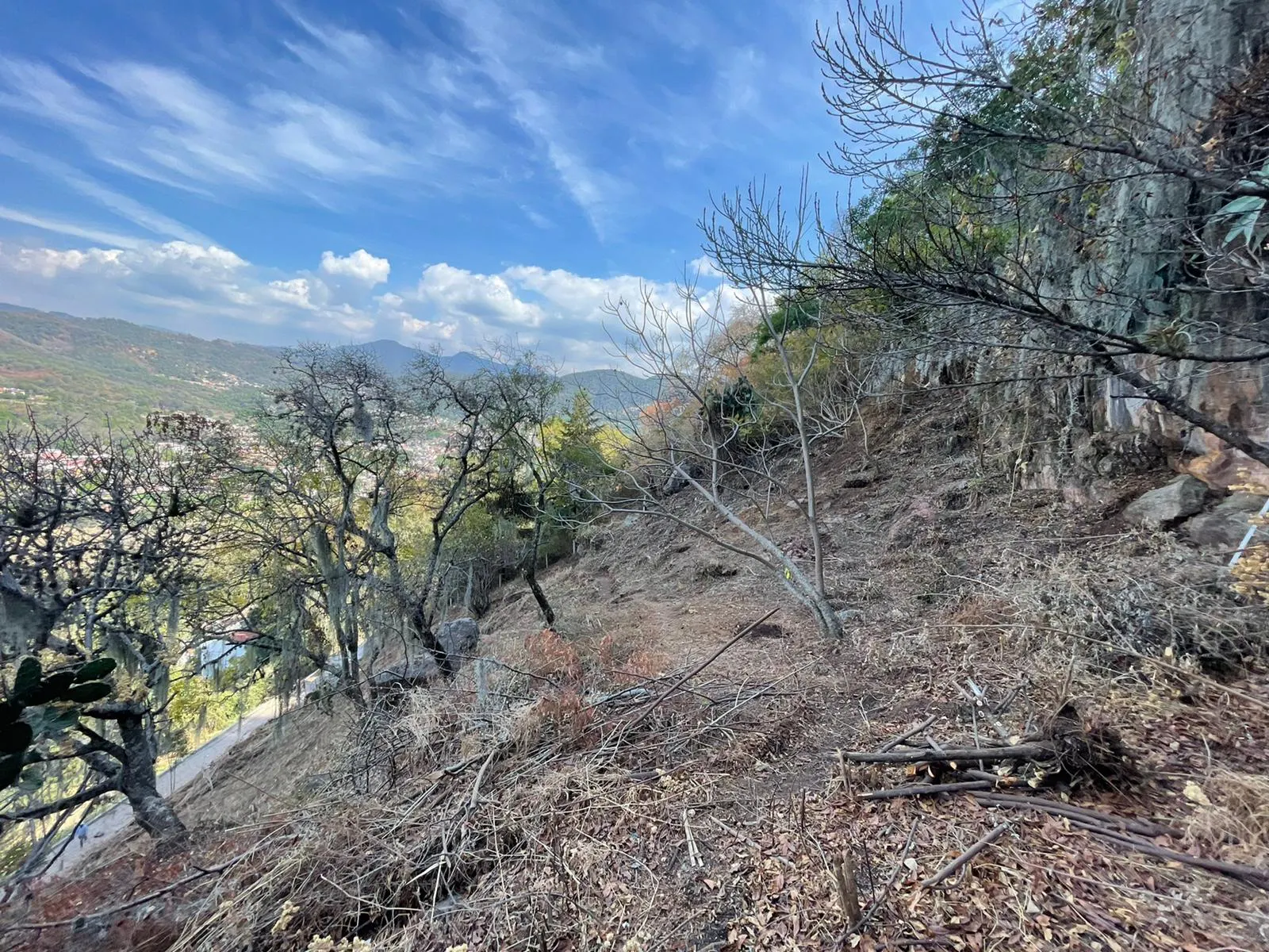 Terreno Spot2