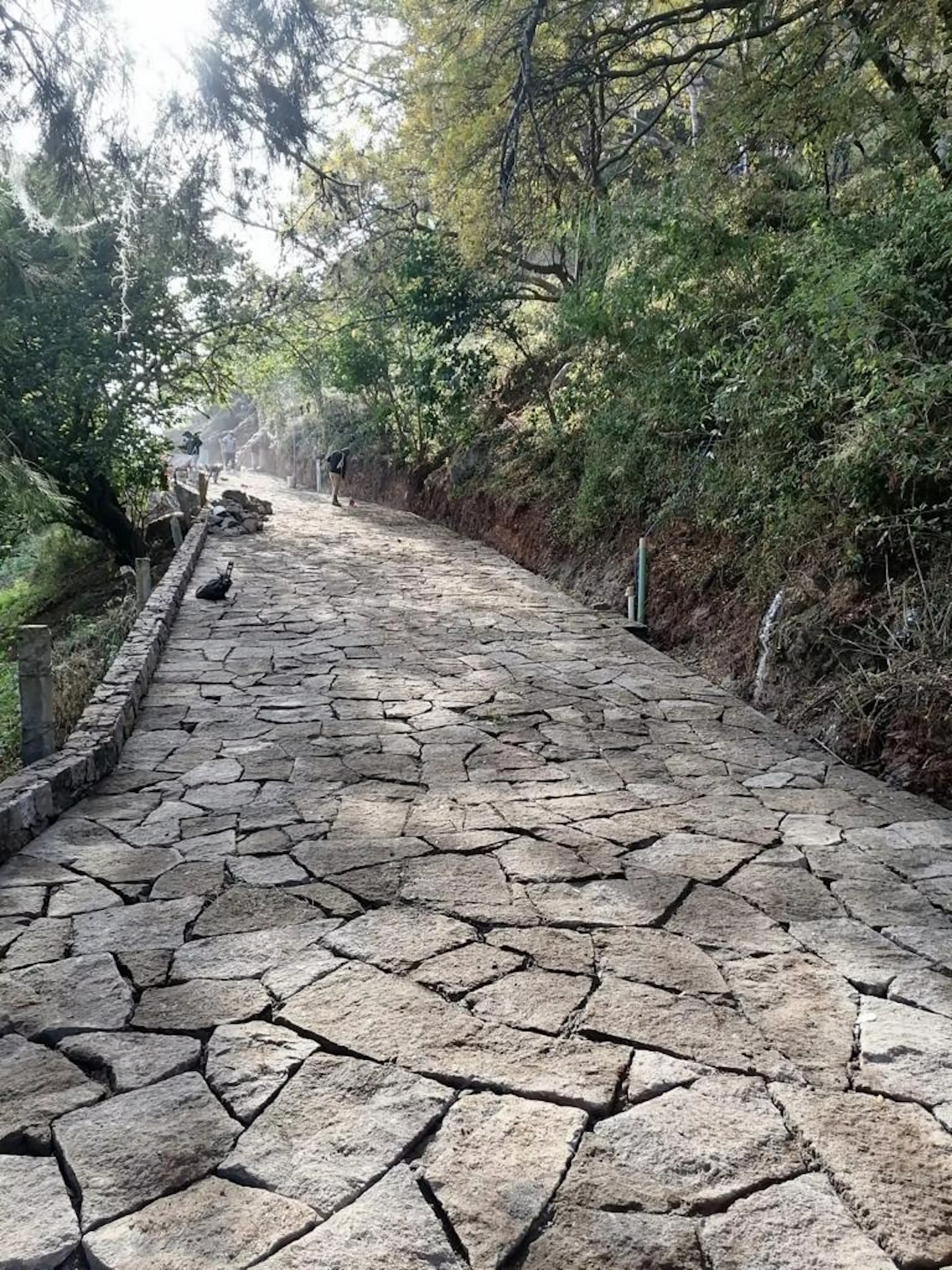 La PeÑa - (4)