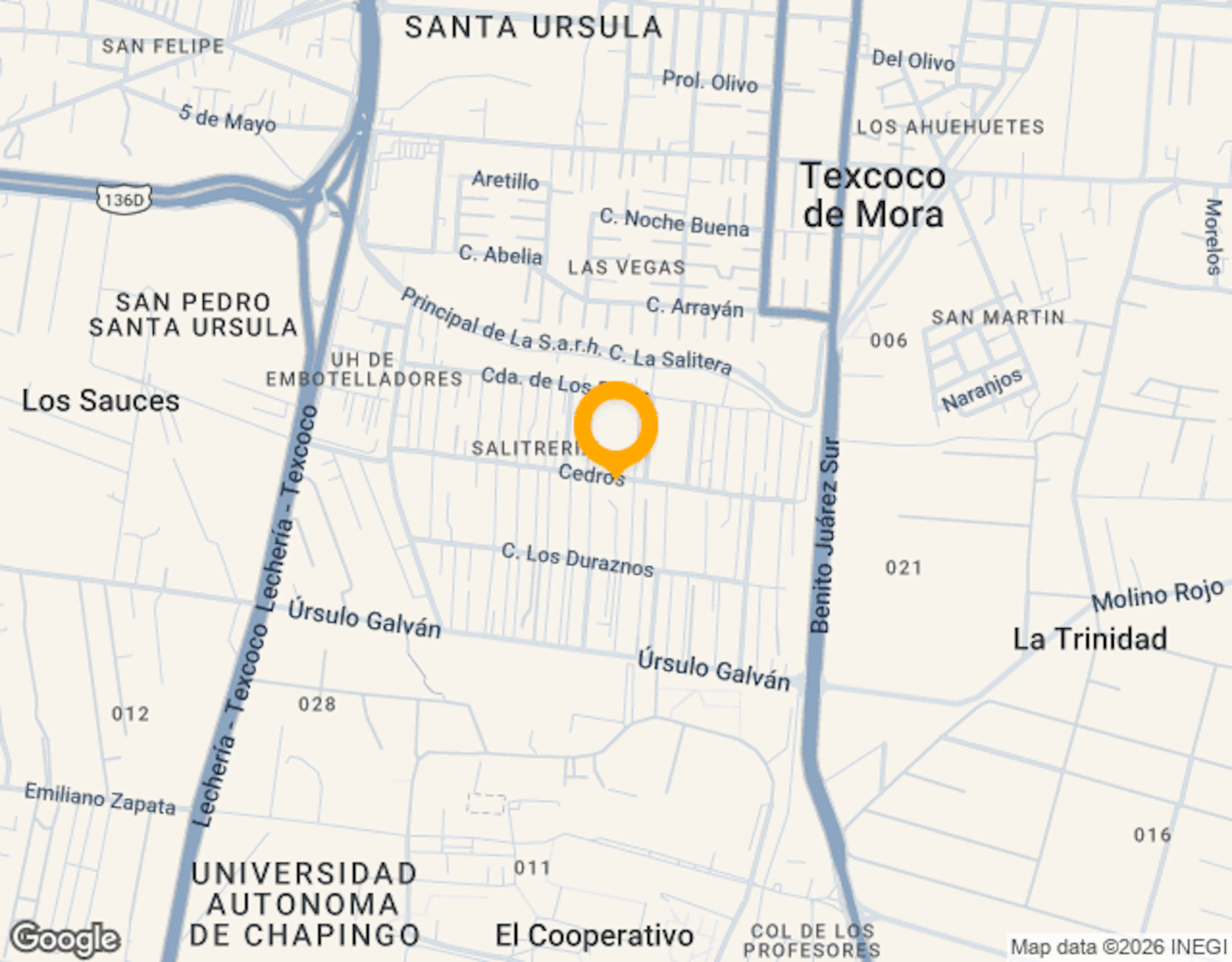 Ubicación de Cedros 13