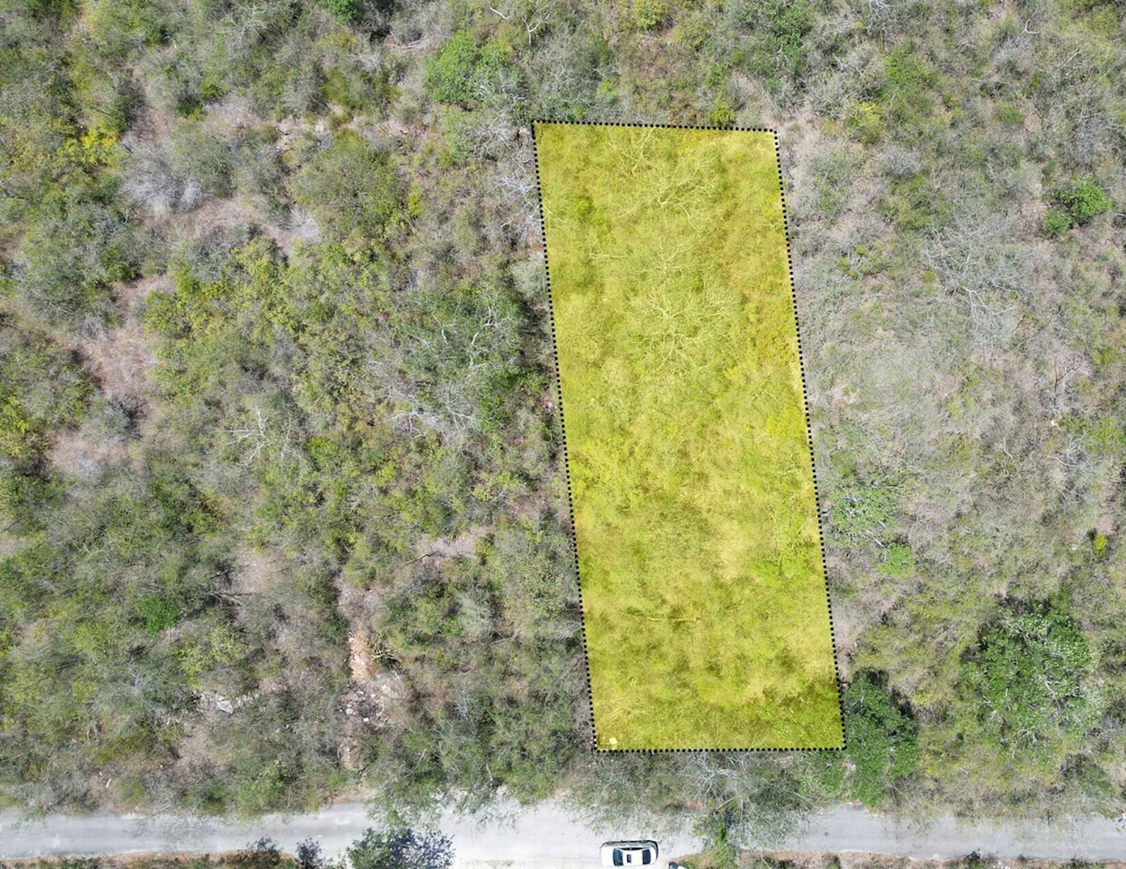 Avenida Temozon None