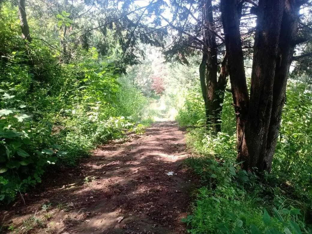 Terreno Spot2