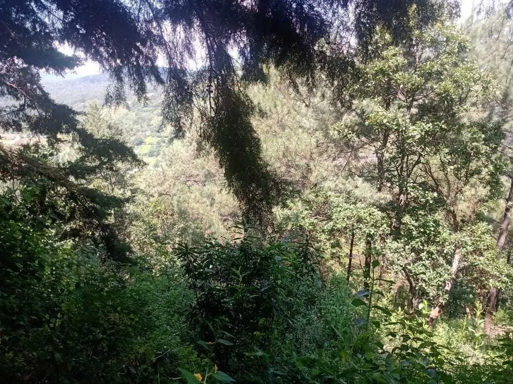 Terreno Spot2