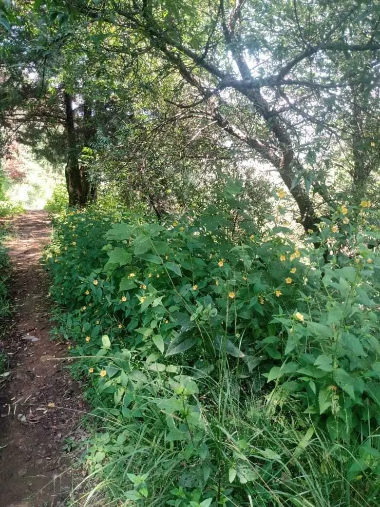 Terreno Spot2