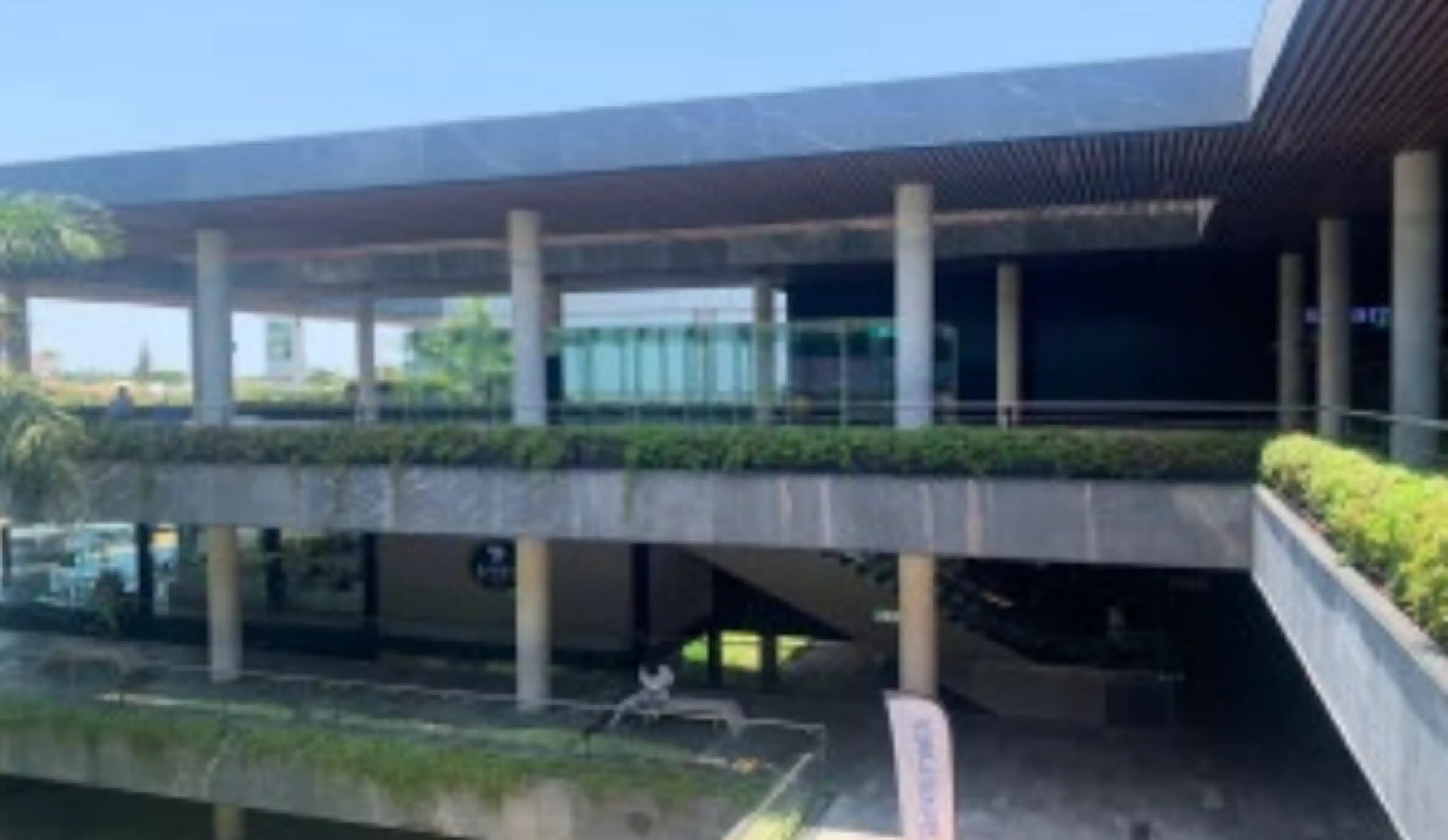 Planta Alta L-17