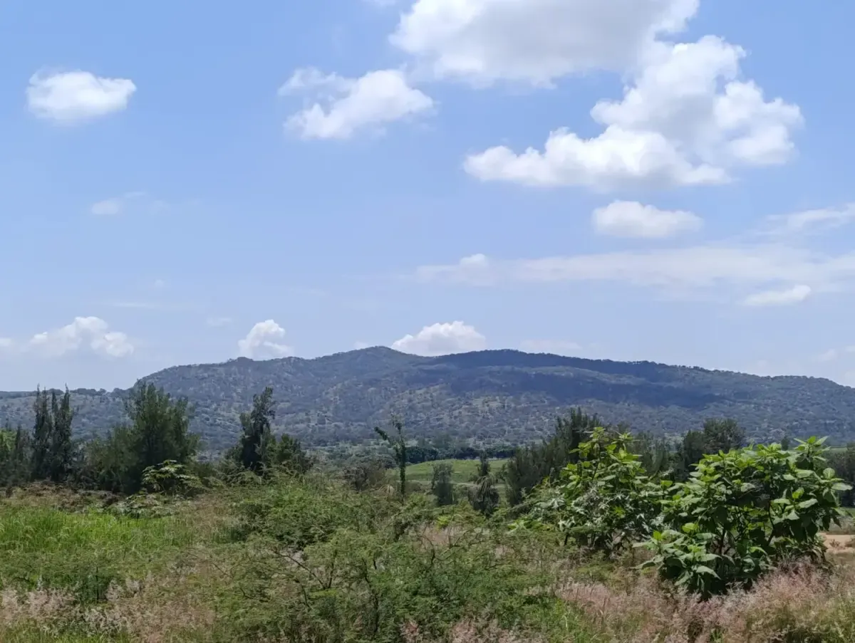 Terreno Spot2