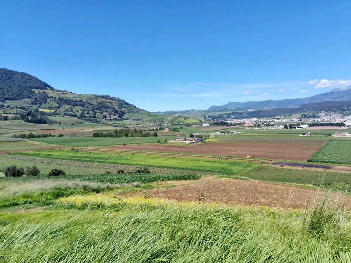 Terreno Spot2