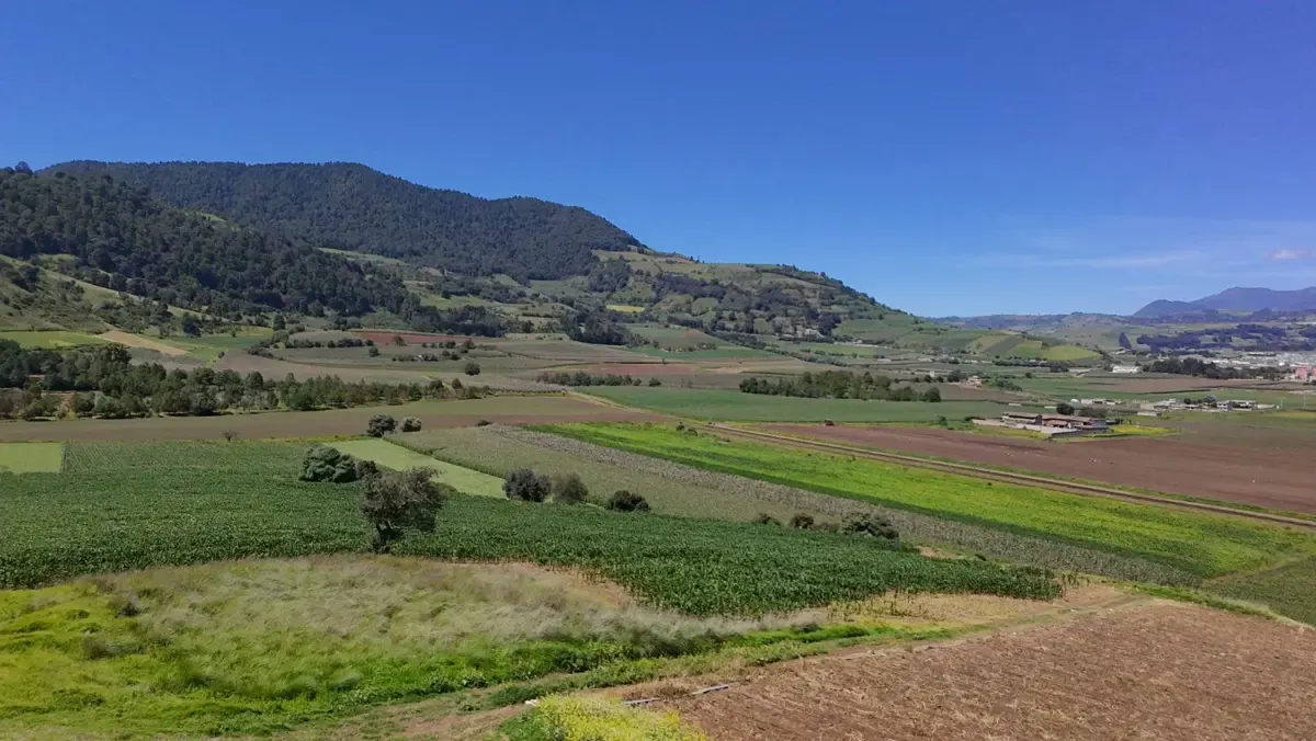 Terreno Spot2