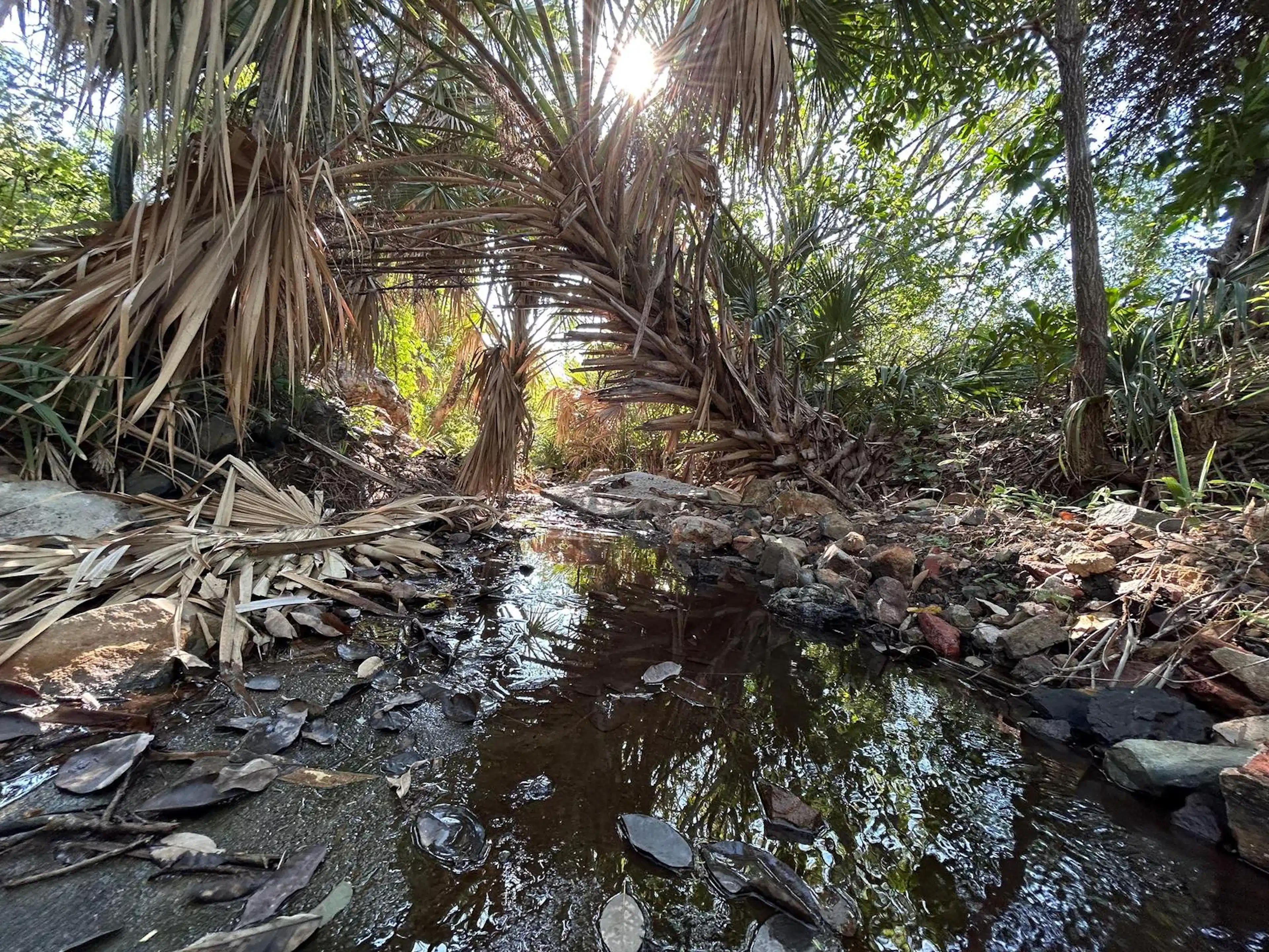 Terreno Con Aguas Termales En Venta En Los Baños Veracruz