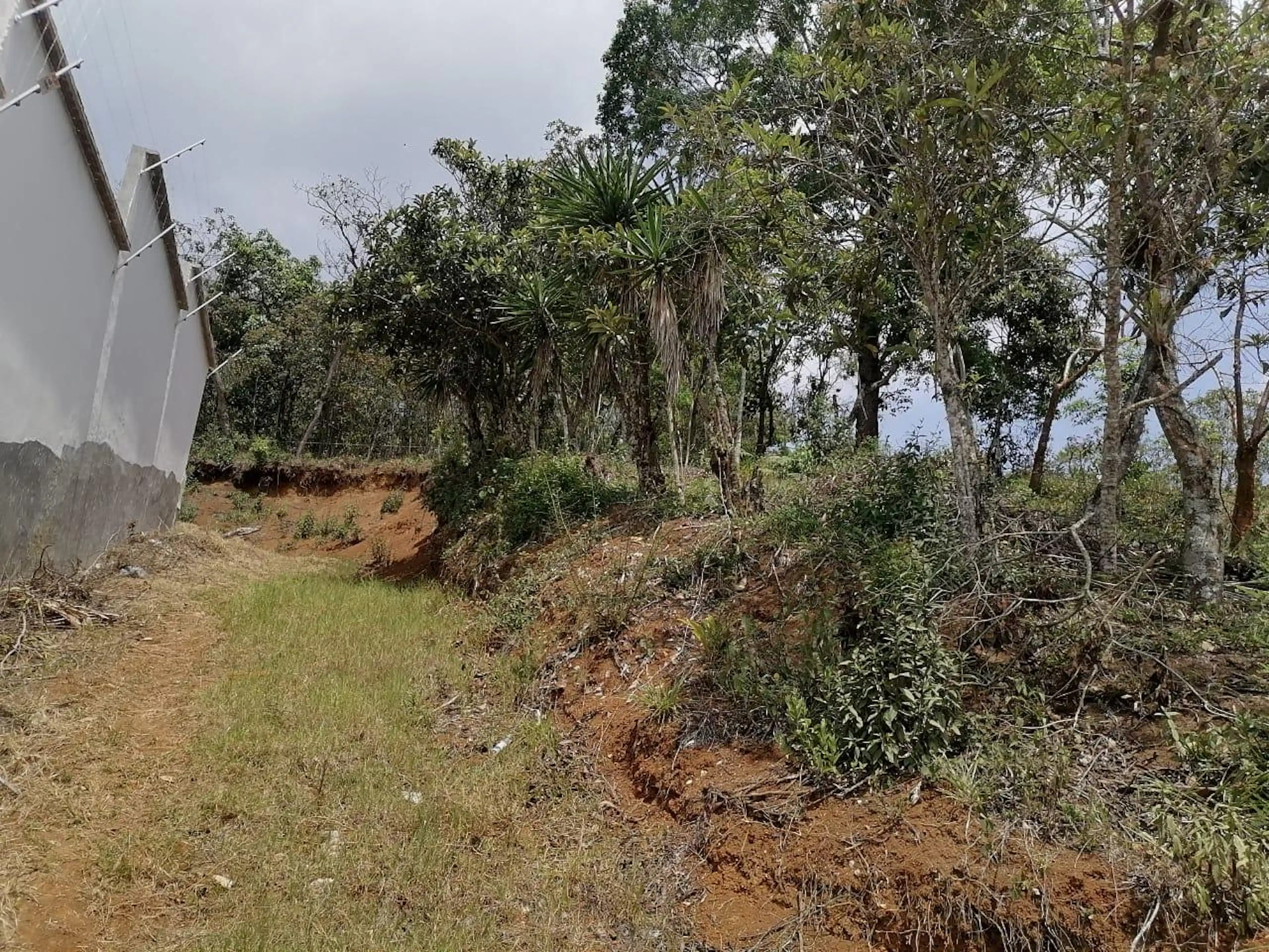 Terreno En Venta En Mártires De Chicago Xalapa Veracruz