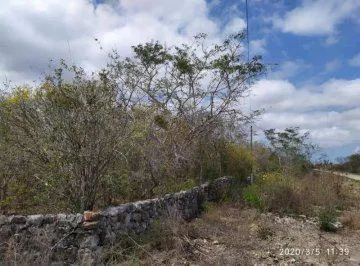 Terreno Spot2