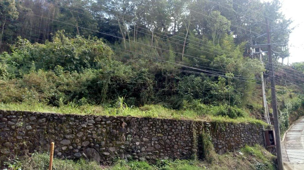 Terreno Spot2