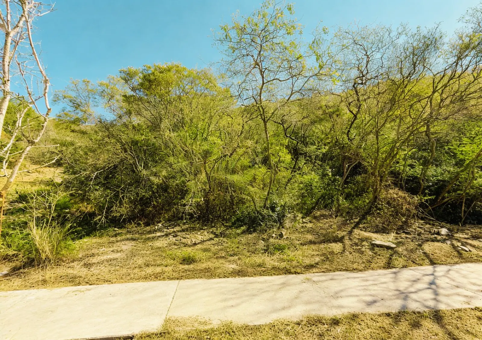 Terreno Spot2