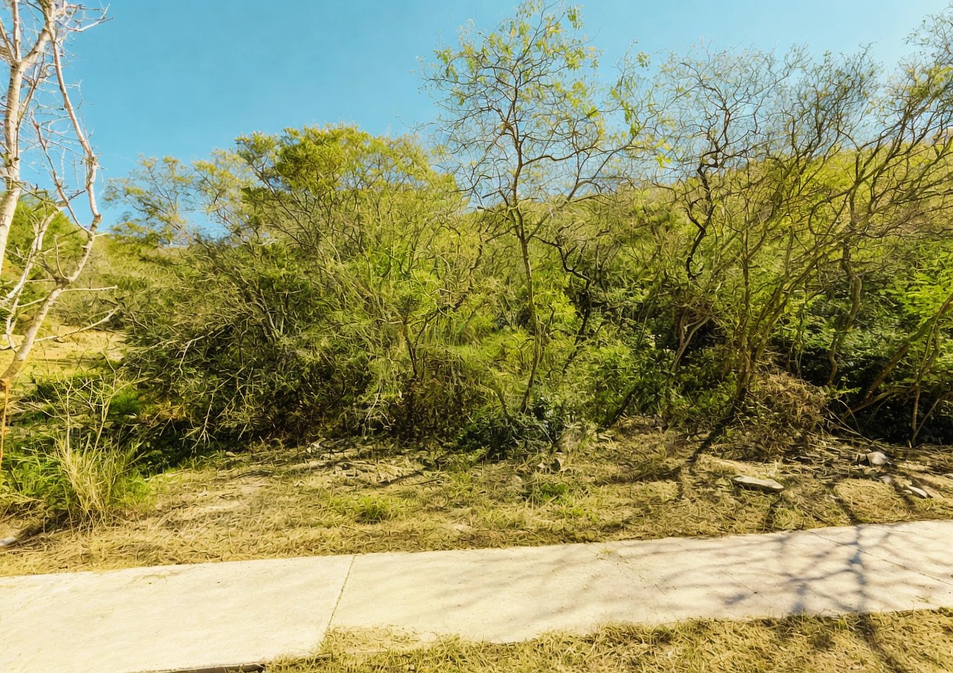 Terreno Spot2