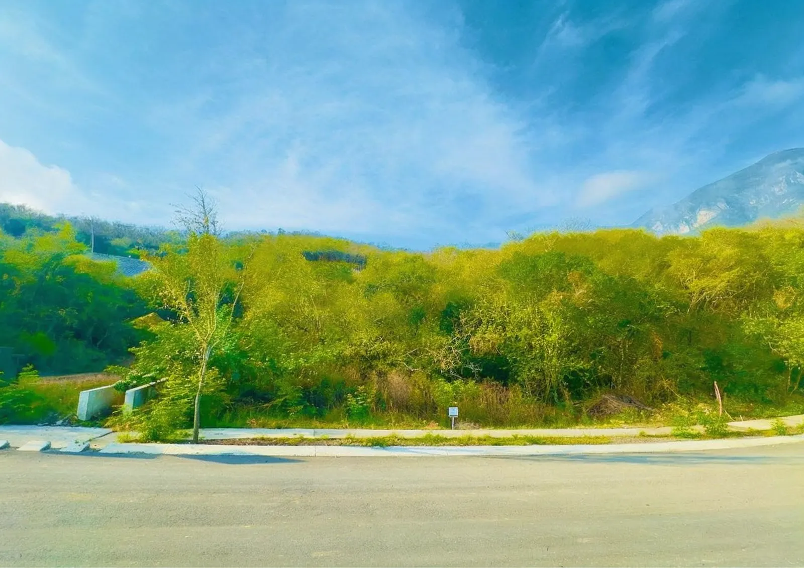 Terreno Spot2