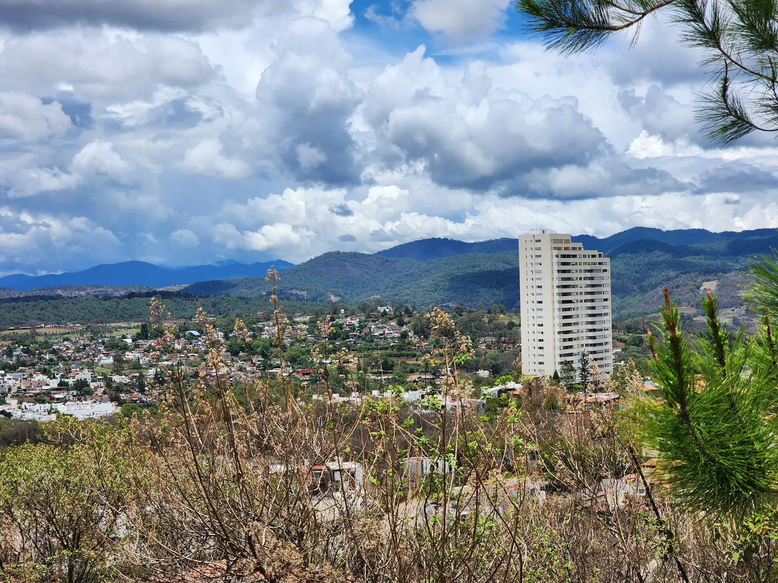 Terreno Spot2