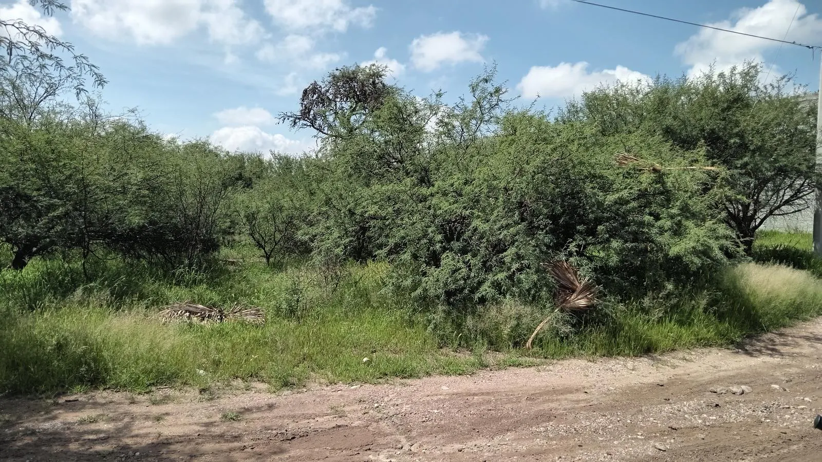 Terreno Spot2