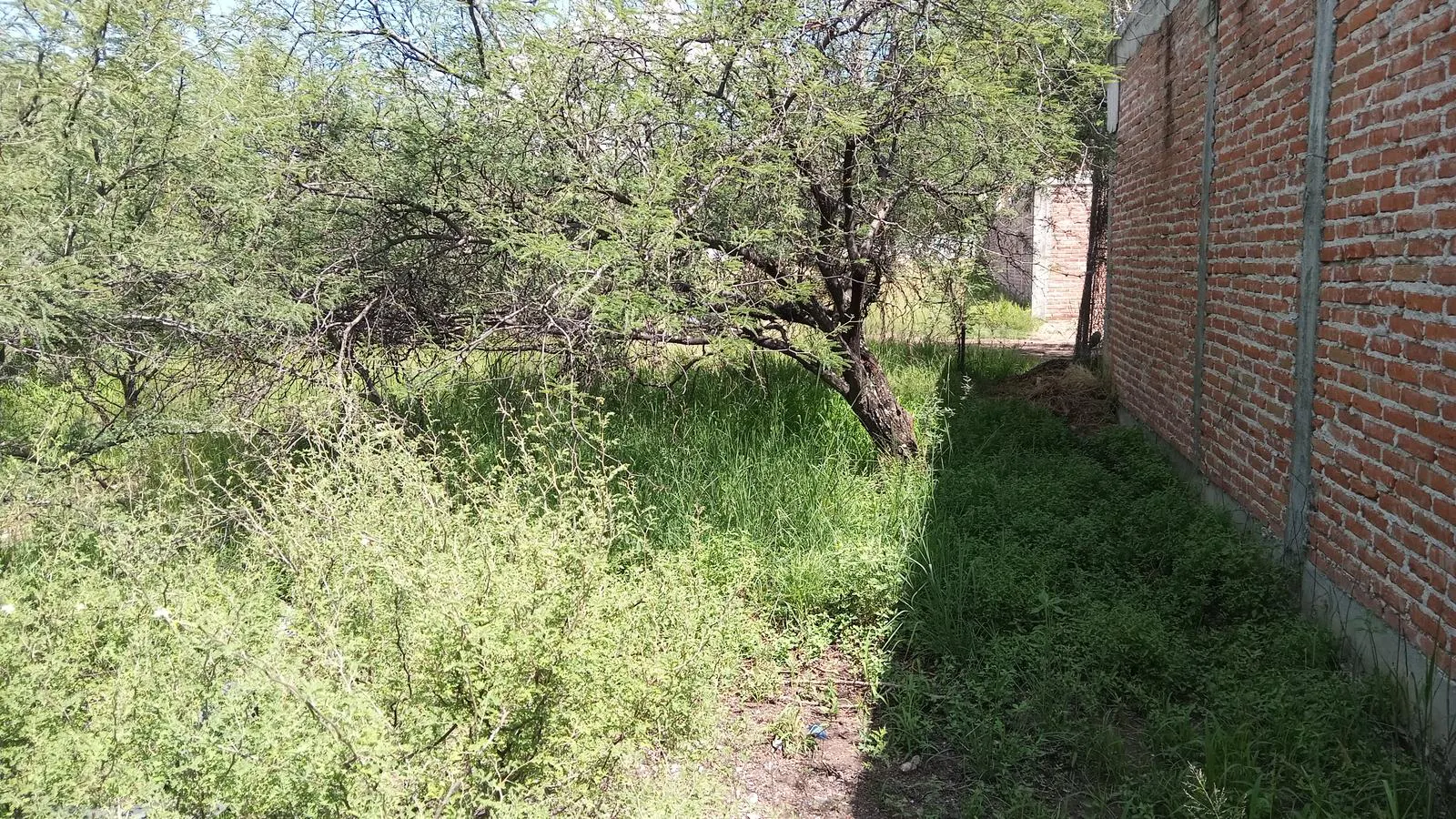 Terreno Spot2