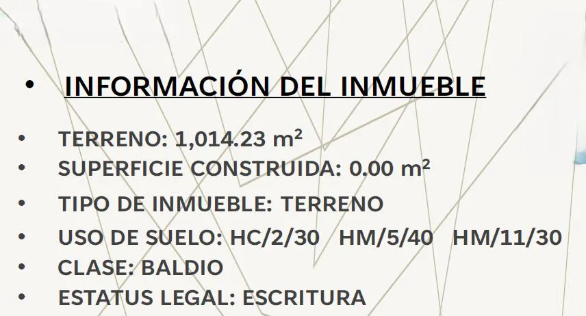 Terreno Spot2
