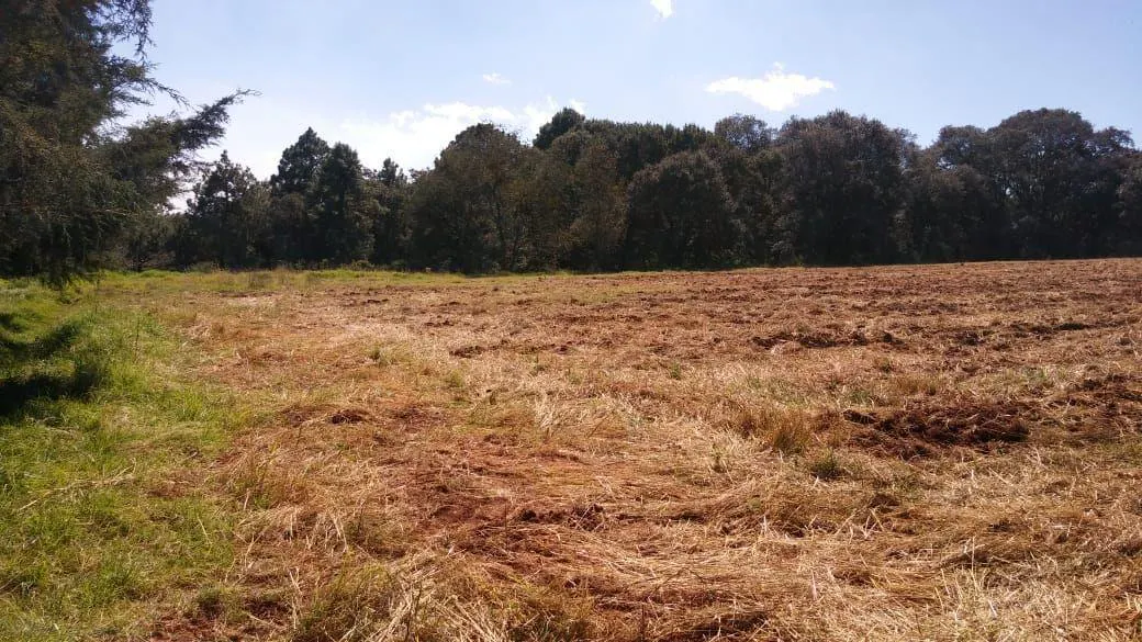 Terreno Spot2