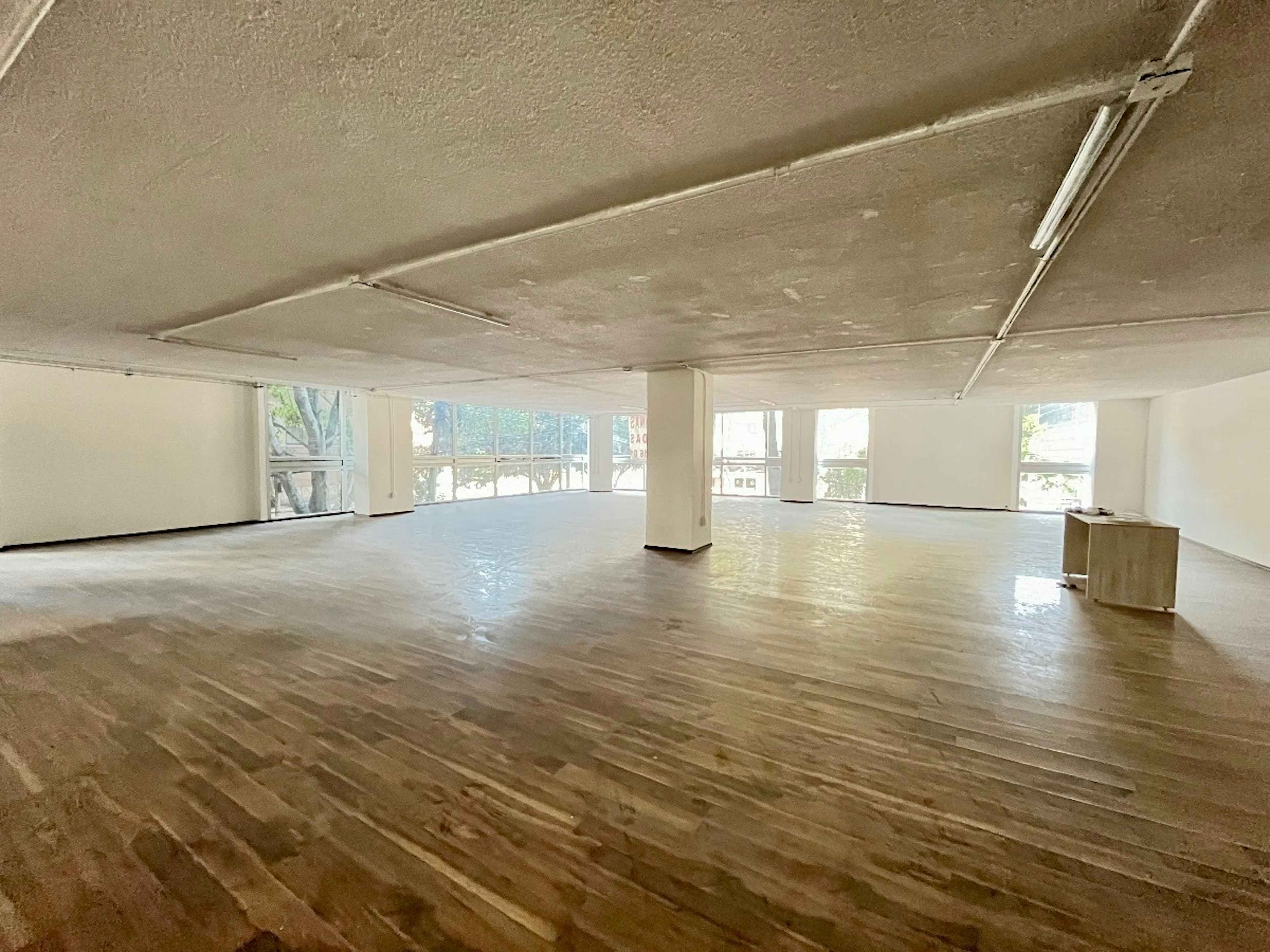 Avenida Ejército Nacional Mexicano