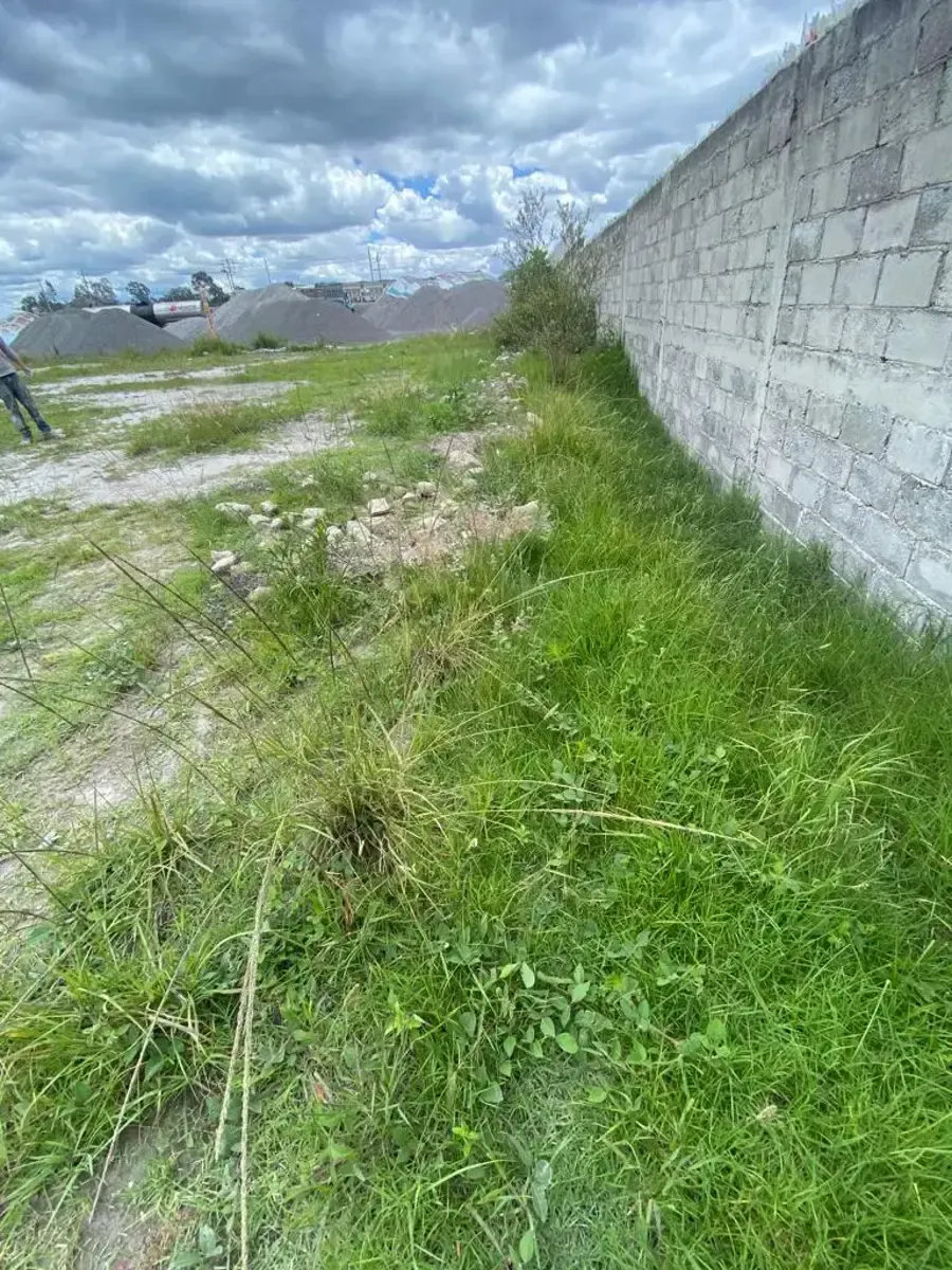 Terreno Spot2