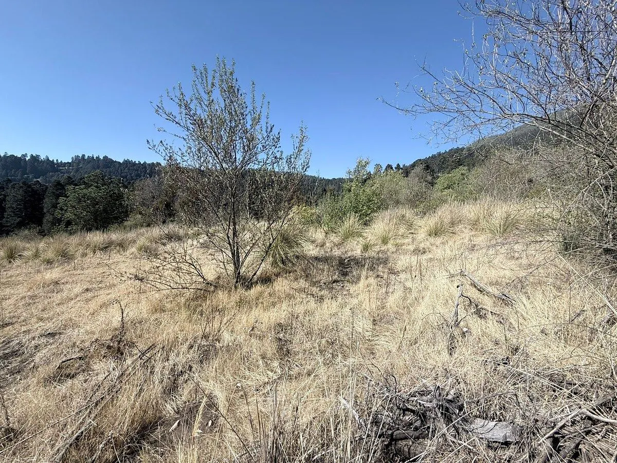 Terreno Spot2