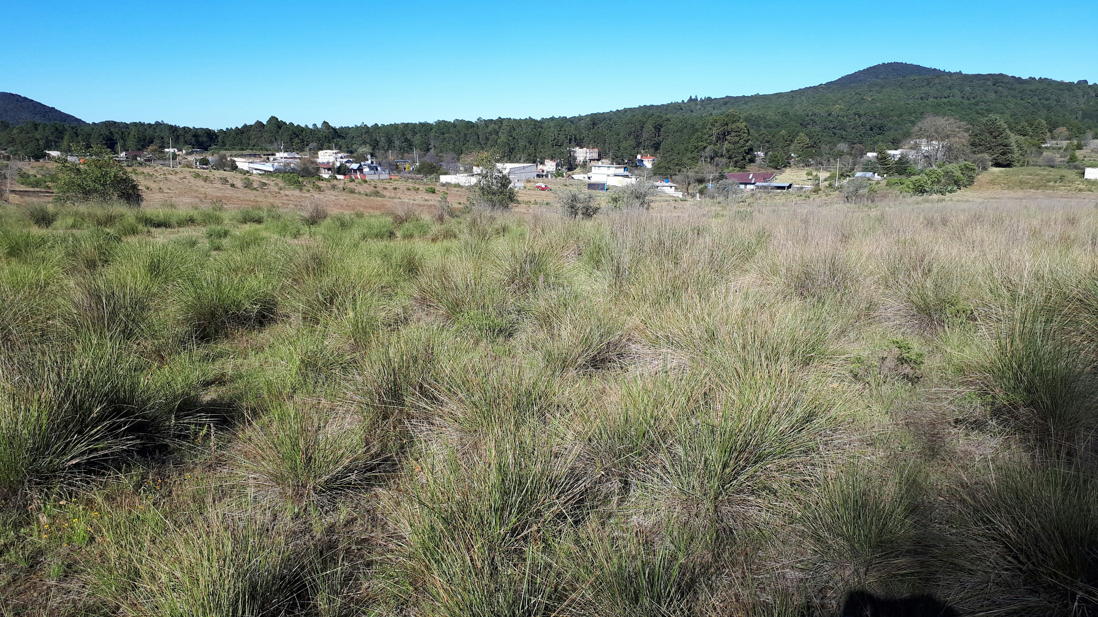 Terreno extenso con vegetación baja y hierba, ideal para desarrollo inmobiliario. Al fondo, se observan casas y vegetación densa, con colinas suaves que sugieren un entorno tranquilo y natural.