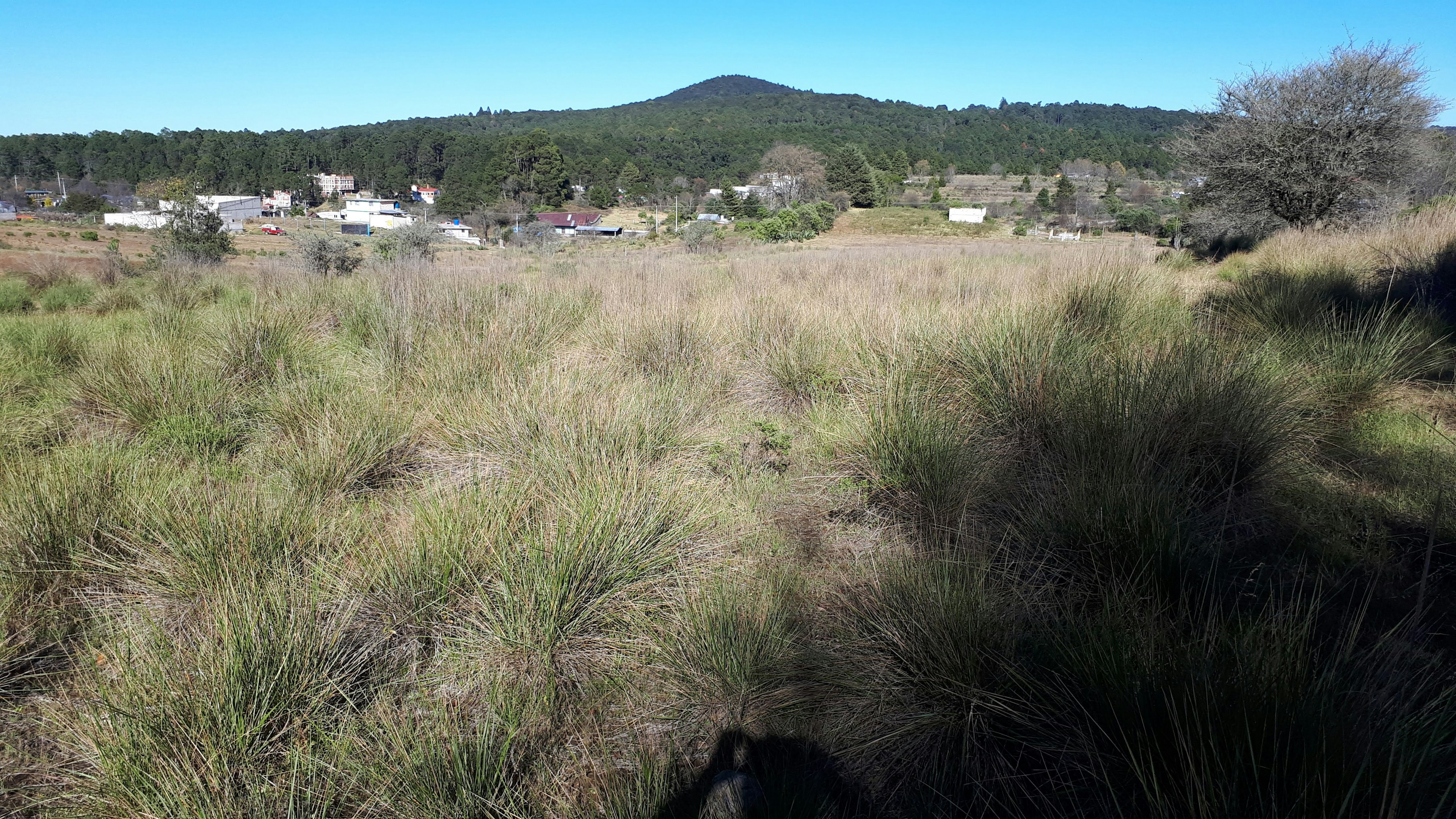 Terreno amplio con vegetación baja y pastizales, ideal para desarrollo inmobiliario. Se observan casas y árboles al fondo con un cerro, cielo despejado y ambiente natural.