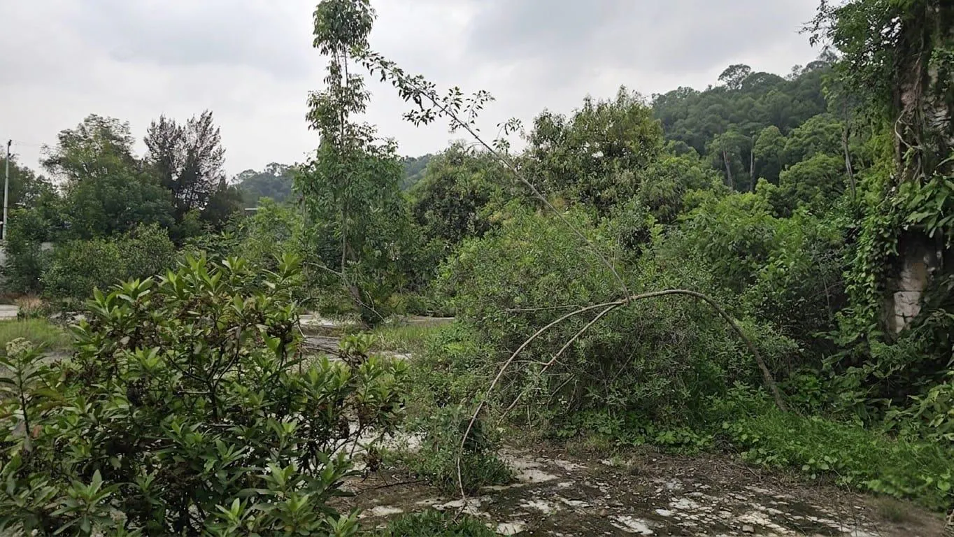 Terreno Spot2
