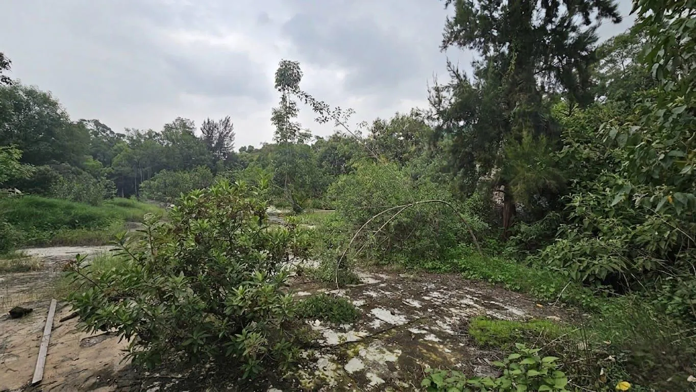 Terreno Spot2